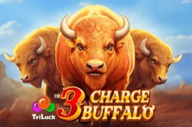 betsport7 bet sport